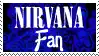 the logo for nirvana fan is on a blue background