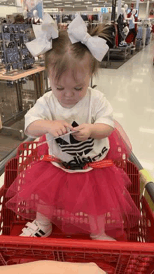 a little girl in a pink tutu is sitting in a shopping cart in a store .