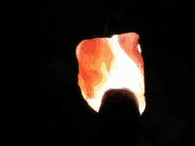 a flame is coming out of a piece of meat in the dark