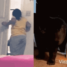 a woman in a yellow shirt is cleaning a door next to a black dog