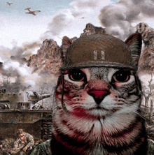 a cat wearing a soldier 's helmet with the number 11 on it