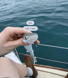 a person is holding a small fish in front of a body of water with the words pls can i win above it