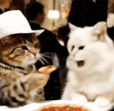a cat wearing a cowboy hat is eating a piece of pizza