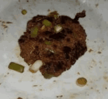 a close up of a piece of meat on a white plate with green onions .