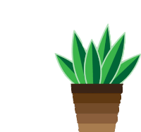 a potted plant with green leaves and brown bottom