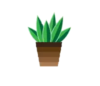 a potted plant with green leaves and brown bottom