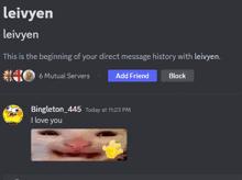 a screenshot of a discord conversation between leivyen and bingleton 445