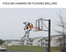 a picture of a basketball hoop with the words foolish human i 'm fucking balling