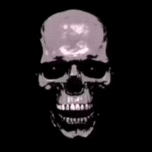 a close up of a skull with a black background