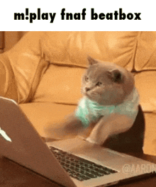 a cat is playing fnaf beatbox on a laptop .