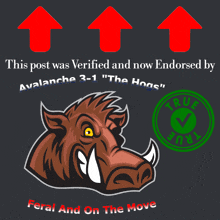 a poster that says this post was verified and now endorsed by avalanche 3- 1 " the hoos "