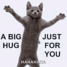 a cat is standing up with its arms outstretched and saying `` a big hug just for you '' .