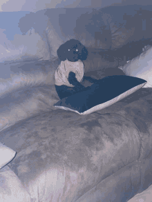 a black dog wearing a pink shirt sits on a couch next to a blue pillow