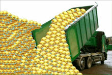 a dump truck is full of laughing faces and tears of joy