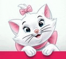 a white cat with a pink bow on its head is peeking over a pink sign .