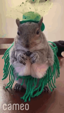 a squirrel wearing a green hat and a green wig is sitting on a wooden table with the word cameo below it