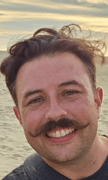 a man with a mustache is smiling in front of a sandy beach