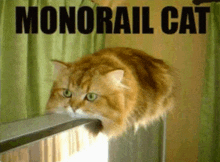 a cat is sitting on a railing with the words monorail cat behind it