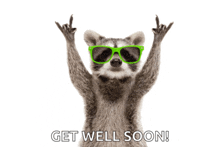 a raccoon wearing green sunglasses with the words get well soon