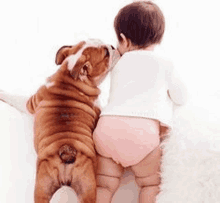 a baby is laying next to a bulldog on a bed .