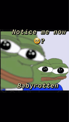 a frog with a sad face and the words notice me now babyrotten on the bottom