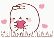 a cartoon rabbit is standing next to a large pink heart and says `` sei la mia vitaaa '' .