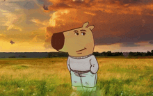 a cartoon character standing in a field with birds flying in the background