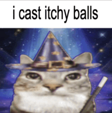 a cat wearing a wizard hat and holding a wand with the words i cast itchy balls above it