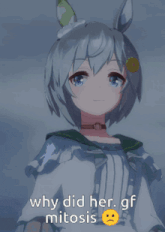why did her gf mitosis is written next to a picture of two anime girls