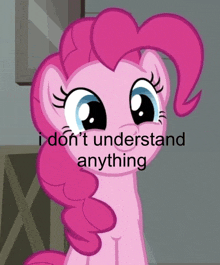 a pink pony with the words " i don 't understand anything " written below it