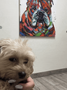 a small dog standing in front of a painting of a dog