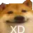 a close up of a dog with the words `` xd '' on it .