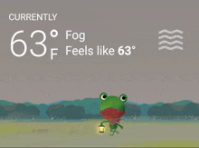 a frog is holding a lantern and the current temperature is 63 degrees fahrenheit