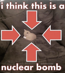 a cat is laying on a couch with arrows pointing in different directions and the words i think this is a nuclear bomb below