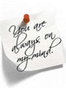 a sticky note with the words `` you are always on my mind '' written on it is pinned to a wall .