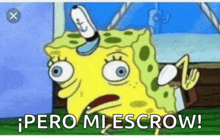 a cartoon of spongebob saying pero mi escrow in spanish