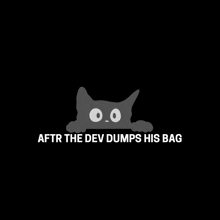 a black cat with the words after the dev dumps his bag below it