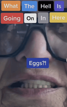 a close up of a person 's face with the words " what the hell is going on in here eggs "