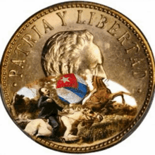 a gold coin that says patria y libertad