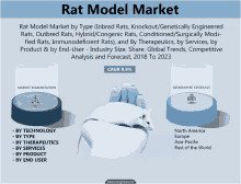 an advertisement for a rat model market shows a hand holding a mouse