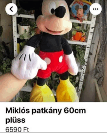 a person is holding a stuffed mickey mouse in front of a shelf of plants