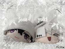 a picture of two stuffed animals with the names jess and yuki