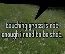 a sign that says touching grass is not enough