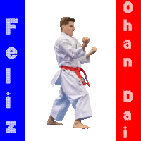 a man in a white karate uniform with a red belt stands in front of a blue and red banner that says " finland "