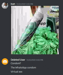 a screenshot of a discord conversation between isan and a deleted user