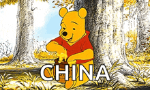 a cartoon of winnie the pooh sitting under a tree with the word china written in white