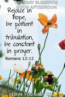 a monday blessings rejoice in hope be patient in tribulation be constant in prayer romans 12:12