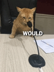 a cat is sitting at a table with a microphone in its mouth and the word would written on the bottom