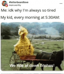 sesame street big bird is pulling a horse drawn carriage with the caption " we ride at dawn bitches "