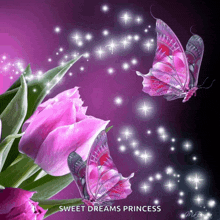 purple flowers and butterflies with the words sweet dreams princess below them